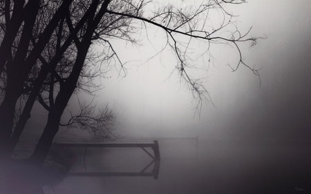 In the secret of mist